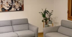 Dorćol, odličan, renoviran – 75kvm (2T)