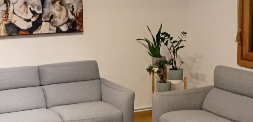 Dorćol, odličan, renoviran – 75kvm (2T)