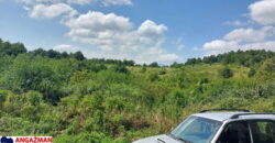 Boljevac, Rtanj – Bačevica 8ha 34ara 61kvm