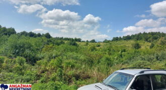 Boljevac, Rtanj – Bačevica 8ha 34ara 61kvm