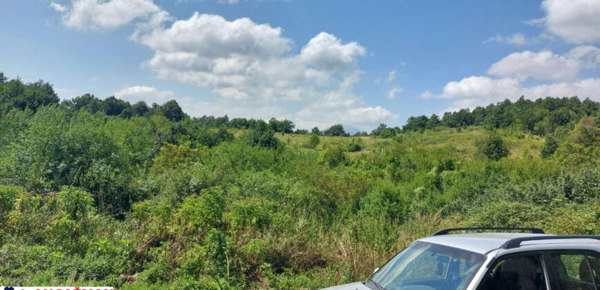 Boljevac, Rtanj – Bačevica 8ha 34ara 61kvm