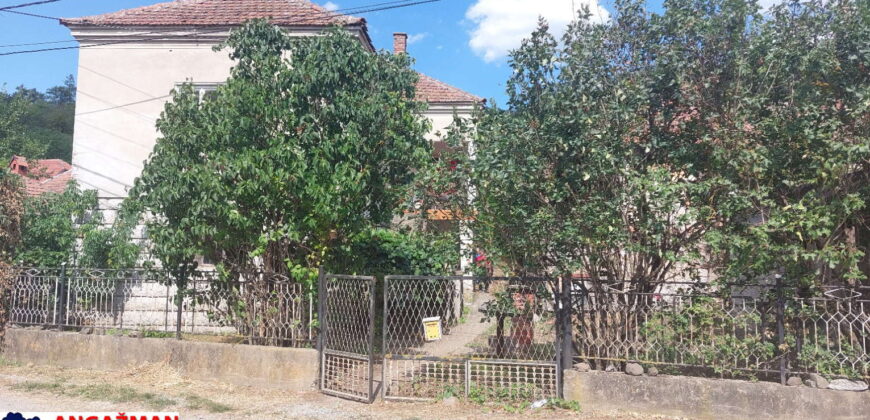 Boljevac – dve kuće 111kvm + 6,33ara