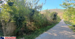 Boljevac, Rtanj – Ilino 14,31 ar