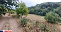 Boljevac, Rtanj – Dobro polje 1ha 3ara 21kvm