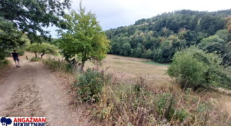 Boljevac, Rtanj – Dobro polje 1ha 3ara 21kvm