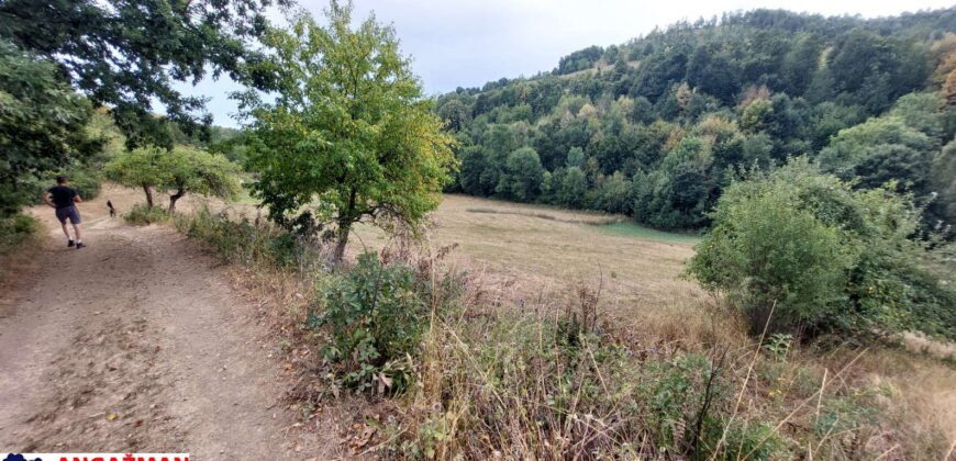 Boljevac, Rtanj – Dobro polje 1ha 3ara 21kvm