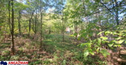 Boljevac, Rtanj – Ilino 21kvm + 17kvm + 10,44ari