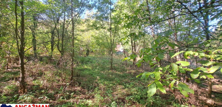 Boljevac, Rtanj – Ilino 21kvm + 17kvm + 10,44ari