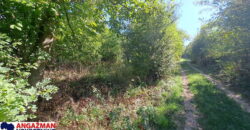 Boljevac, Rtanj – Ilino 14,31 ar