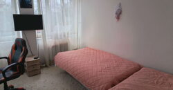 Blok 21 – Bulevar Zorana Đinđića 55kvm