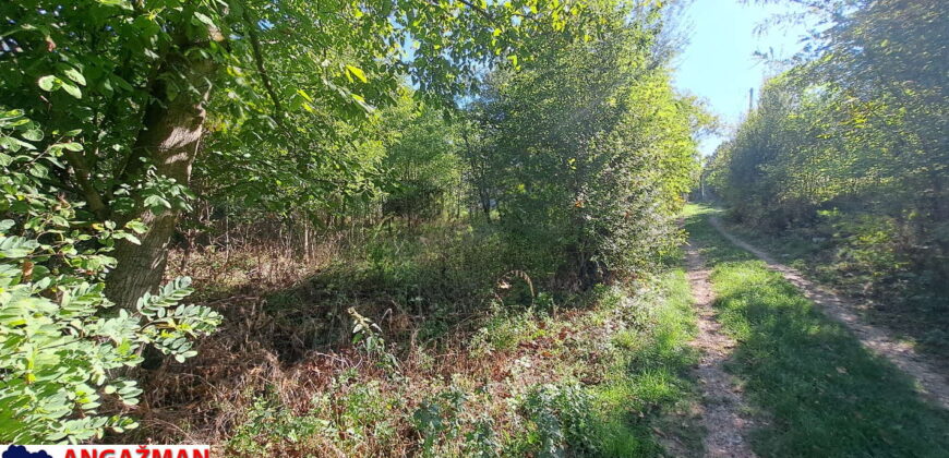 Boljevac, Rtanj – Ilino 21kvm + 17kvm + 10,44ari