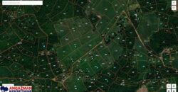 Boljevac, Rtanj – Bačevica 8ha 34ara 61kvm