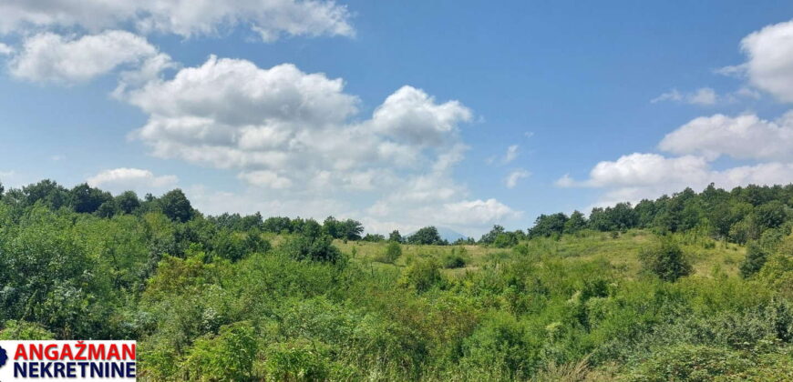 Boljevac, Rtanj – Bačevica 8ha 34ara 61kvm