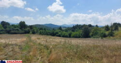 Boljevac, Rtanj – Bačevica 8ha 34ara 61kvm