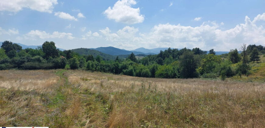 Boljevac, Rtanj – Bačevica 8ha 34ara 61kvm