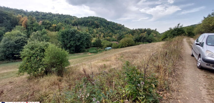 Boljevac, Rtanj – Dobro polje 1ha 3ara 21kvm