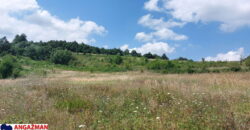 Boljevac, Rtanj – Bačevica 8ha 34ara 61kvm