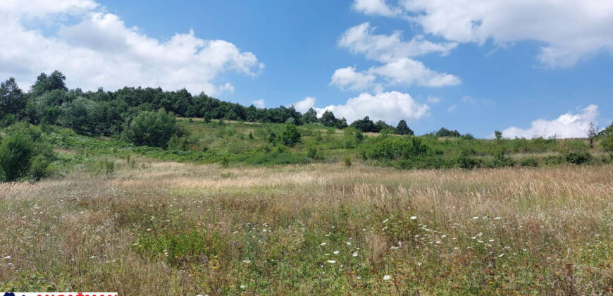 Boljevac, Rtanj – Bačevica 8ha 34ara 61kvm