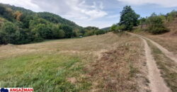 Boljevac, Rtanj – Dobro polje 1ha 3ara 21kvm