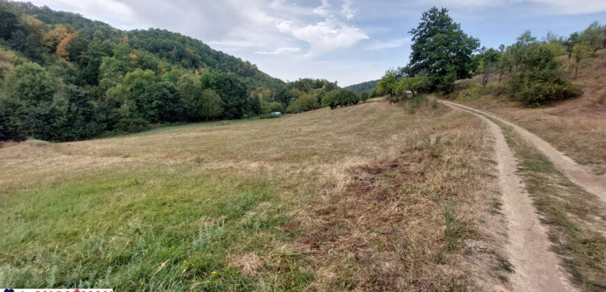 Boljevac, Rtanj – Dobro polje 1ha 3ara 21kvm