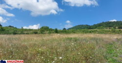 Boljevac, Rtanj – Bačevica 8ha 34ara 61kvm