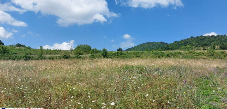 Boljevac, Rtanj – Bačevica 8ha 34ara 61kvm