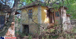 Boljevac, Rtanj – Ilino 21kvm + 17kvm + 10,44ari