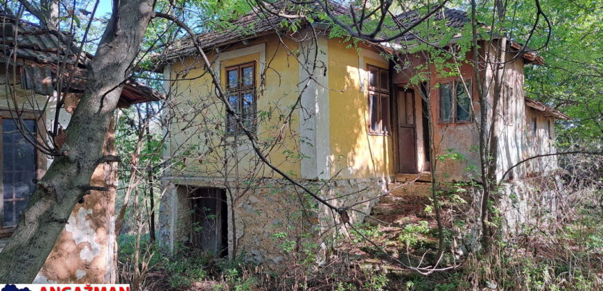 Boljevac, Rtanj – Ilino 21kvm + 17kvm + 10,44ari