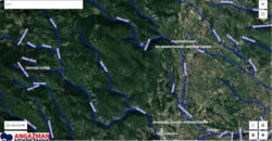 Boljevac, Rtanj – Podgorac 10ha 77ari 17kvm