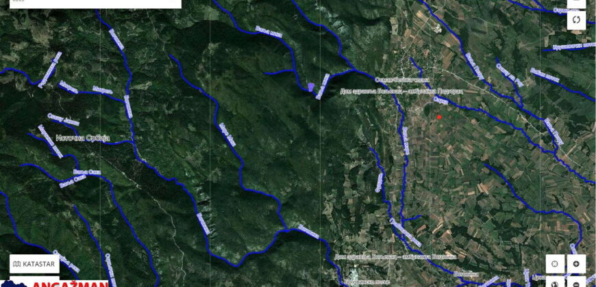 Boljevac, Rtanj – Podgorac 10ha 77ari 17kvm