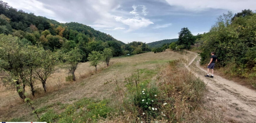 Boljevac, Rtanj – Dobro polje 1ha 3ara 21kvm