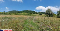 Boljevac, Rtanj – Bačevica 8ha 34ara 61kvm