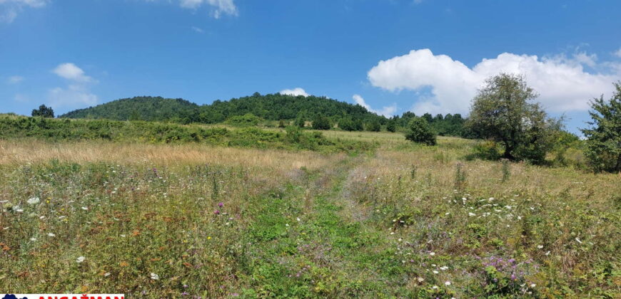 Boljevac, Rtanj – Bačevica 8ha 34ara 61kvm