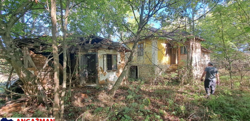 Boljevac, Rtanj – Ilino 21kvm + 17kvm + 10,44ari