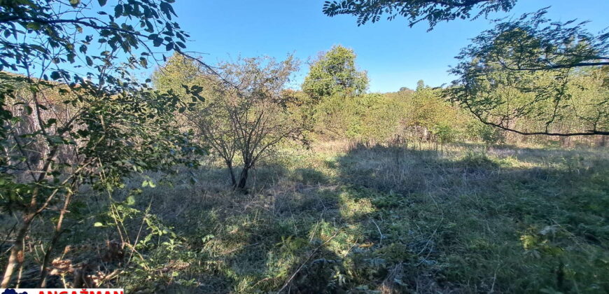 Boljevac, Rtanj – Ilino 14,31 ar