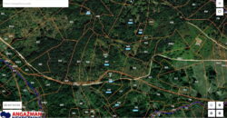 Boljevac, Rtanj – Podgorac 10ha 77ari 17kvm