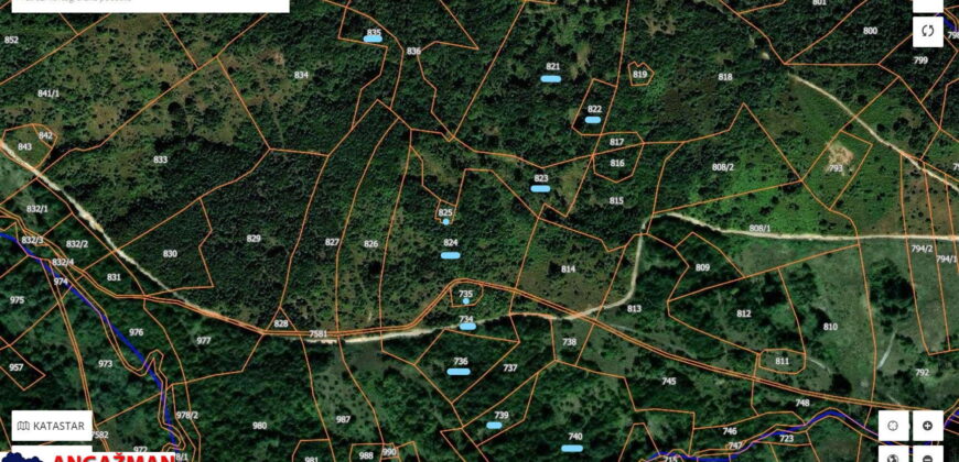 Boljevac, Rtanj – Podgorac 10ha 77ari 17kvm