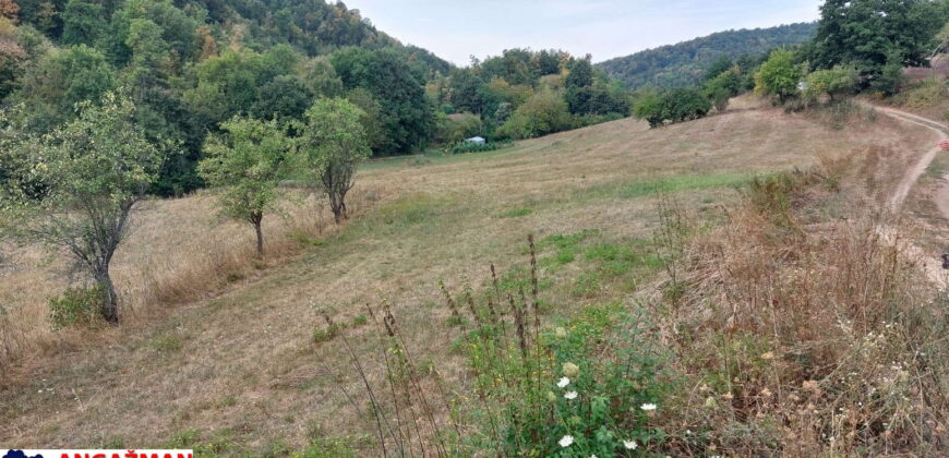 Boljevac, Rtanj – Dobro polje 1ha 3ara 21kvm