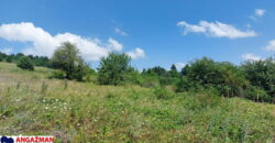 Boljevac, Rtanj – Bačevica 8ha 34ara 61kvm