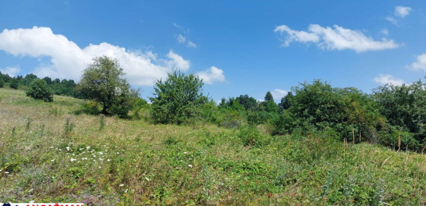 Boljevac, Rtanj – Bačevica 8ha 34ara 61kvm