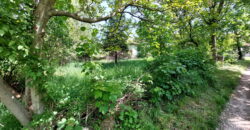 Sokobanja, Šarbanovac 55kvm + 41kvm + 10,39ari