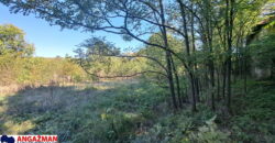 Boljevac, Rtanj – Ilino 21kvm + 17kvm + 10,44ari