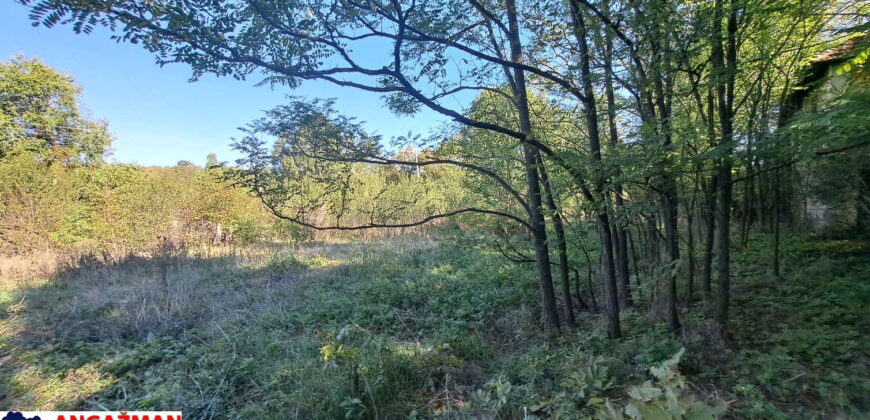 Boljevac, Rtanj – Ilino 21kvm + 17kvm + 10,44ari