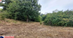 Boljevac, Rtanj – Dobro polje 1ha 3ara 21kvm