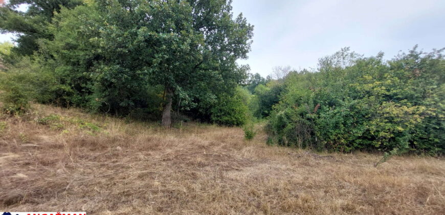 Boljevac, Rtanj – Dobro polje 1ha 3ara 21kvm