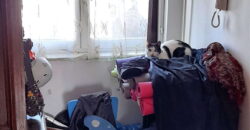 Blok 72 – Dr Ivana Ribara 89kvm