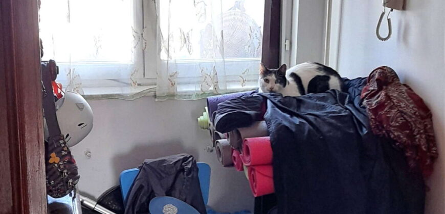 Blok 72 – Dr Ivana Ribara 89kvm