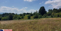 Boljevac, Rtanj – Bačevica 8ha 34ara 61kvm