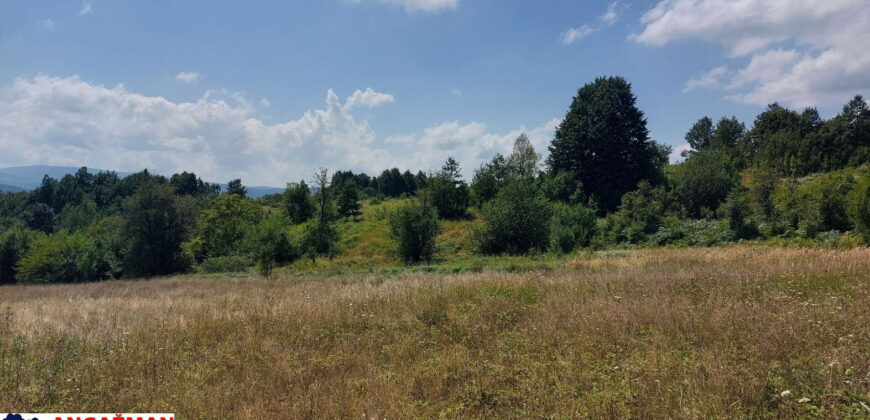 Boljevac, Rtanj – Bačevica 8ha 34ara 61kvm