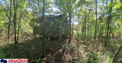 Boljevac, Rtanj – Ilino 21kvm + 17kvm + 10,44ari